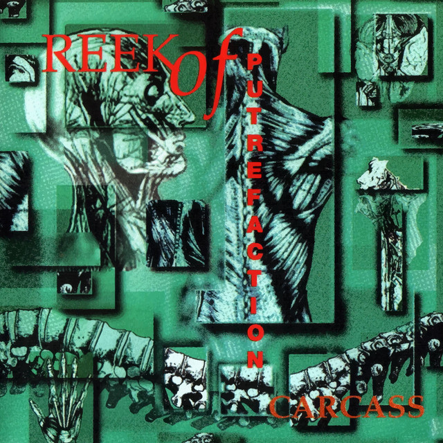 StarrOutlook's tweet photo. #tablescraps #crass #carcass #albertogiurioli https://t.co/NGKDSpaVMx