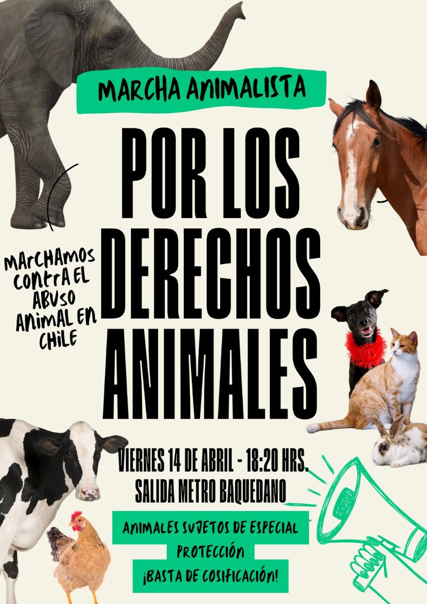 Digamos NO a todo tipo de maltrato animal! 
Viernes 14 de abril, 18.20 horas, Plaza Baquedano.
#NoAlMaltratoAnimal 
#NoMasRodeo
#NoMasJineteadas
#NoMasCircosConAnimales
#NoMasViviseccion
Favor RT!