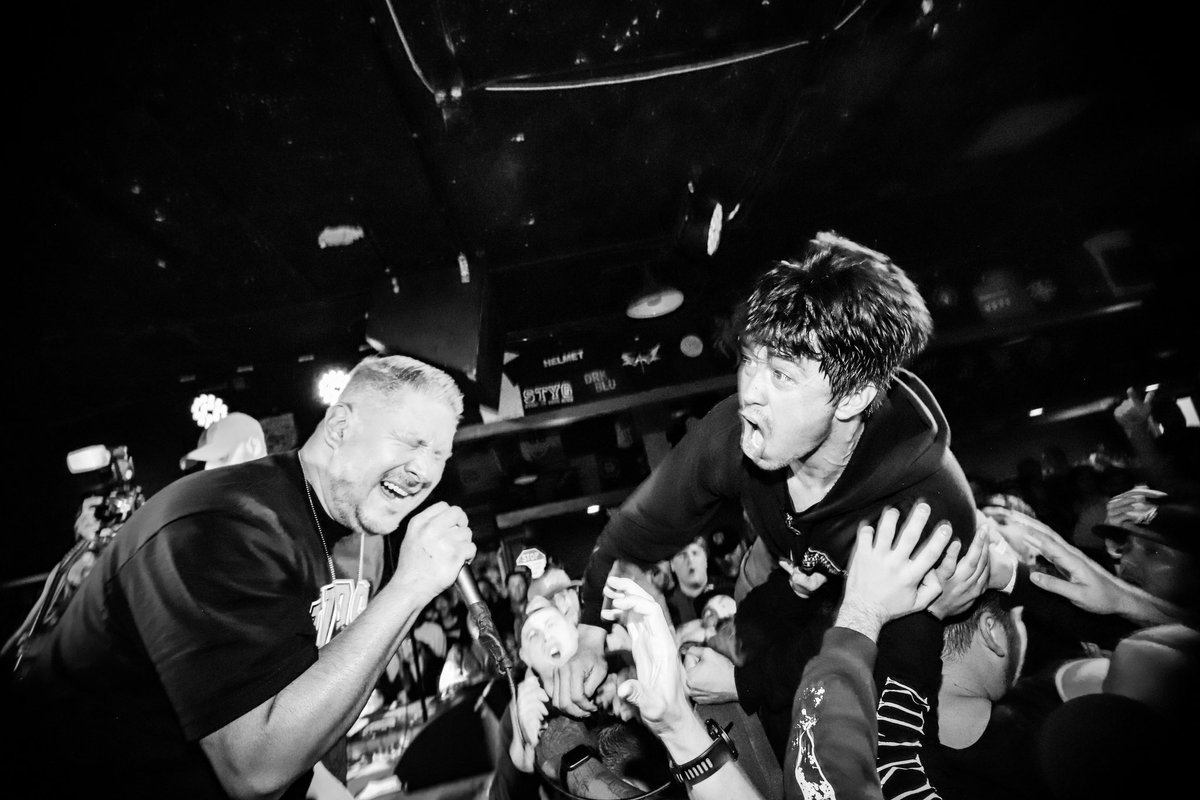 stellakelly🇻🇳 tweet media