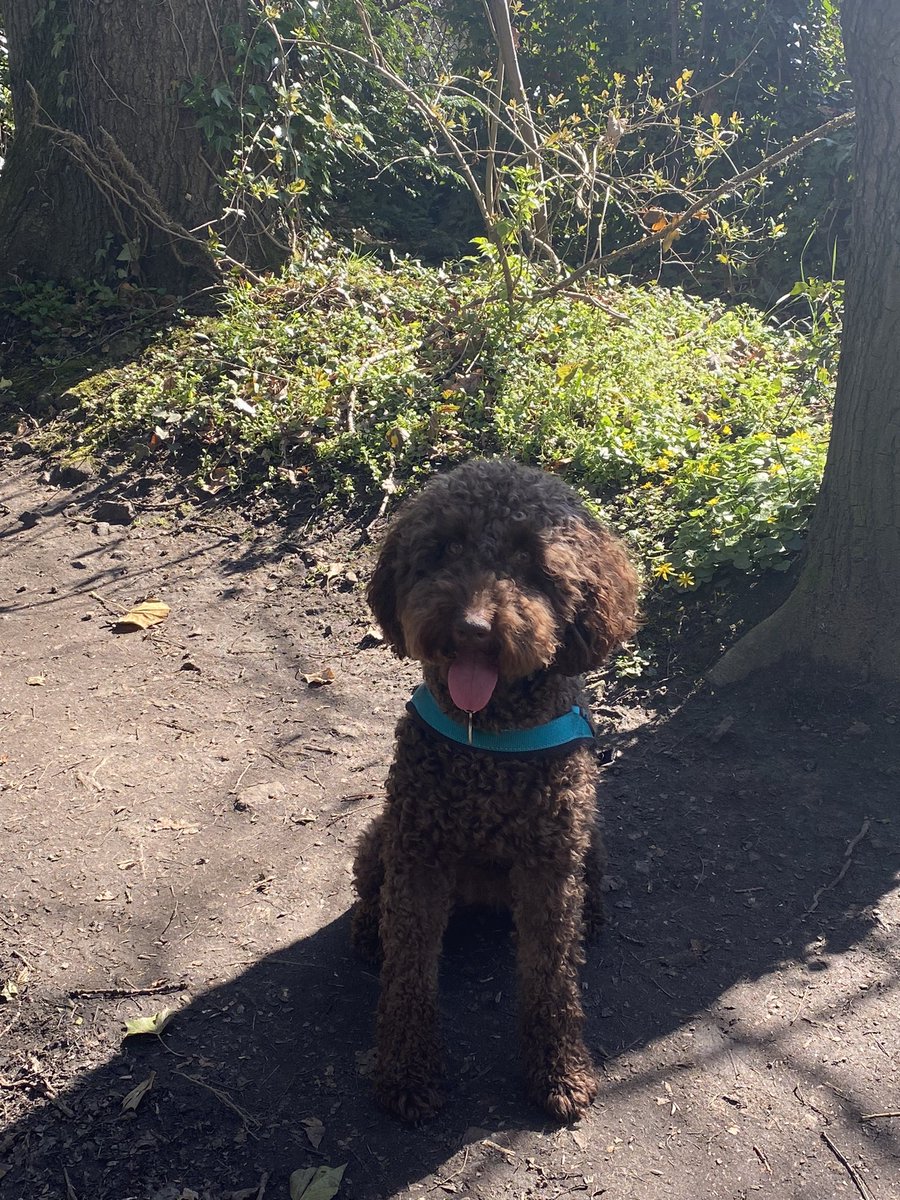 I’m out and about enjoying my Easter 🐣 holibobs. Hope you’re having a pawfect time too T🐾