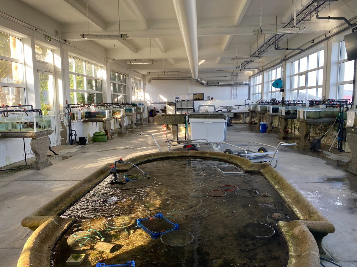 PrakashLab tweet media