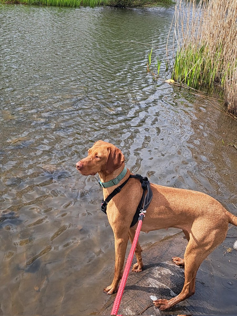 🐄Ed Payne #HilltopDairies🐄 tweet media