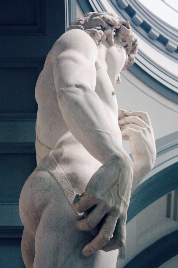 Academia Aesthetics tweet media