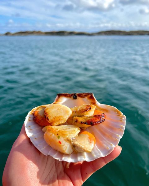 Love seafood? You'll love #Scotland's islands! 🙌🌊 Do YOU have any recommendations? 🐟 

📍 Isle of Islay 📷 IG/islay_sea_adventures #ScotlandLovesLocal