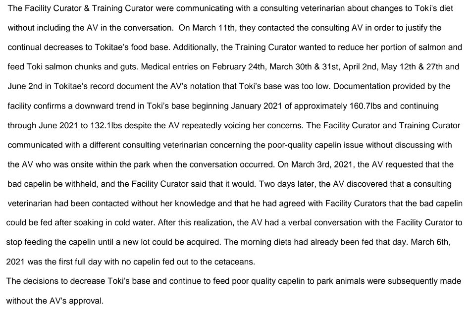 Delphinidae.info tweet media