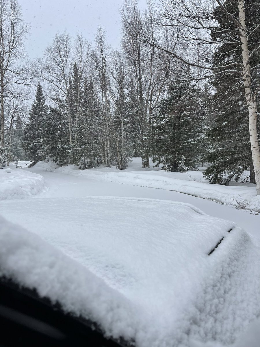 someoneinalaska's tweet photo. Happy almost Easter from #Alaska #Quitsnowing π« https://t.co/4E0tUHoavJ