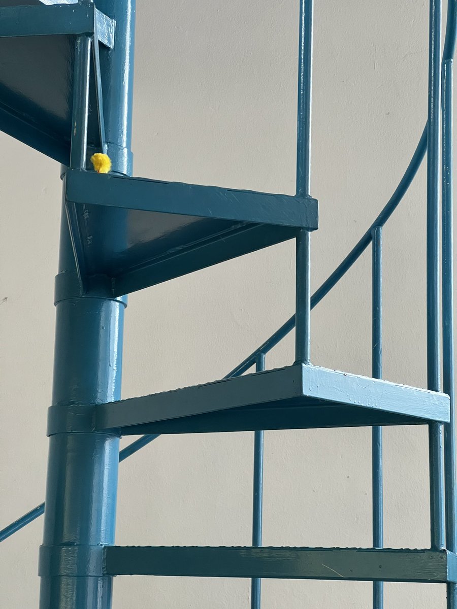 Nicola Eller tweet media