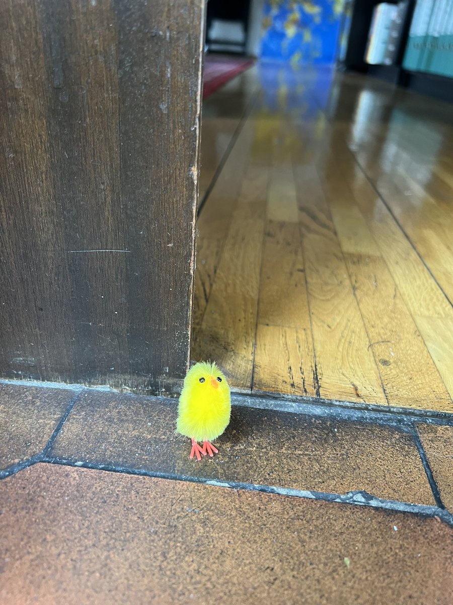 Nicola Eller tweet media