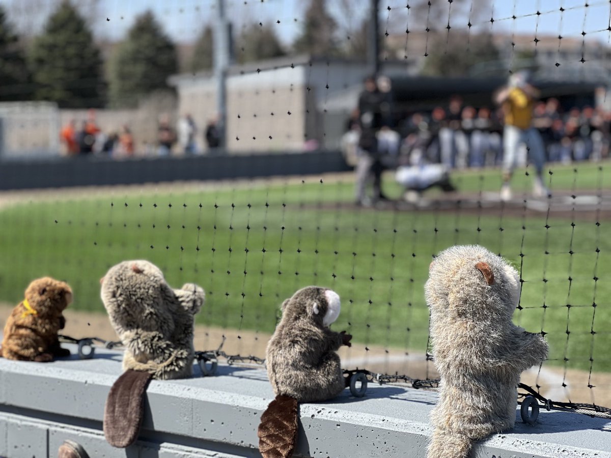 ⁦<a href="/BVU_Baseball/">BVU Baseball</a>⁩