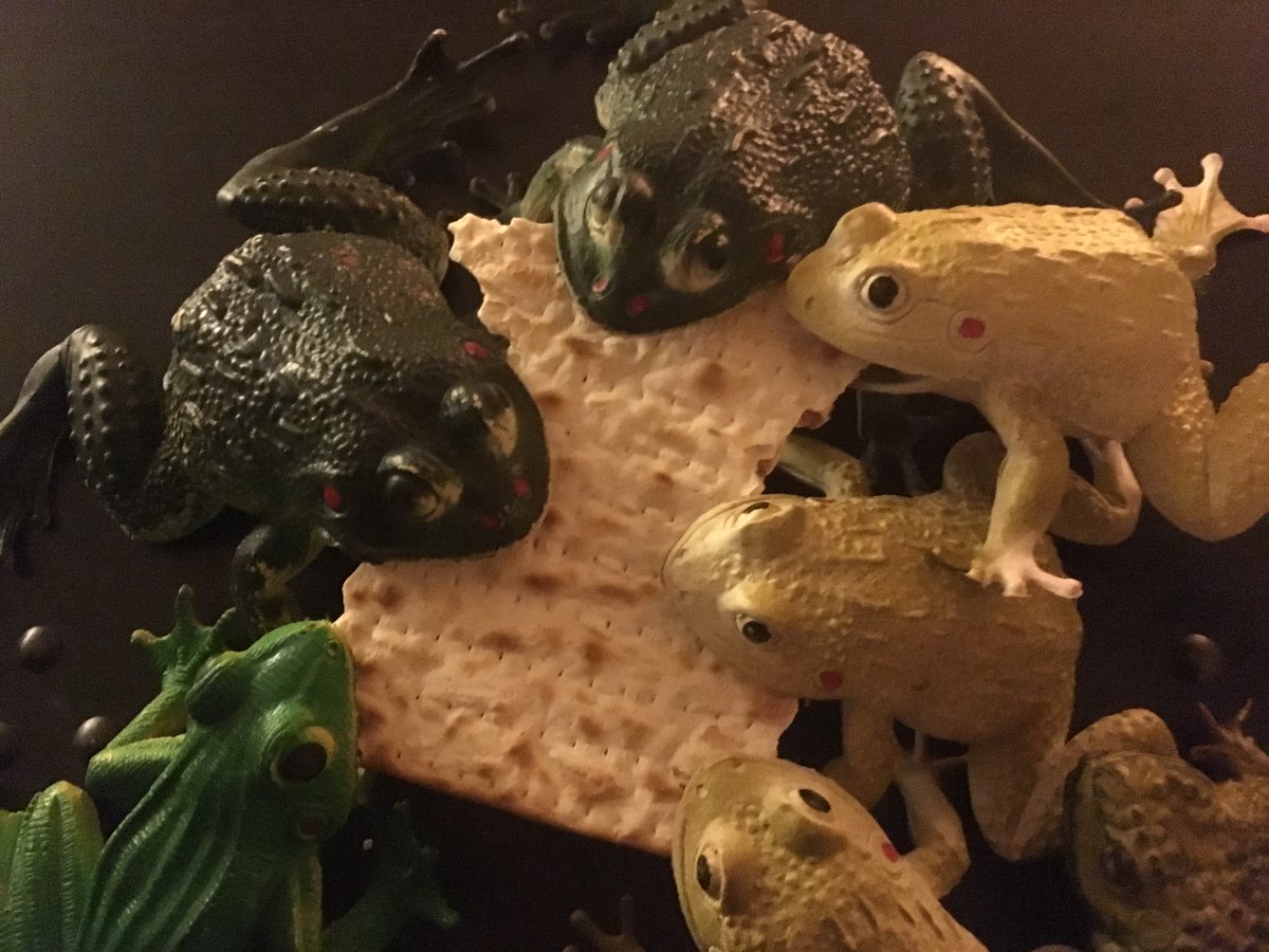 Cleanup from Passover Seders is always a challenge; all forms of help welcome! (And when some good can emerge from plagues, all the better!)