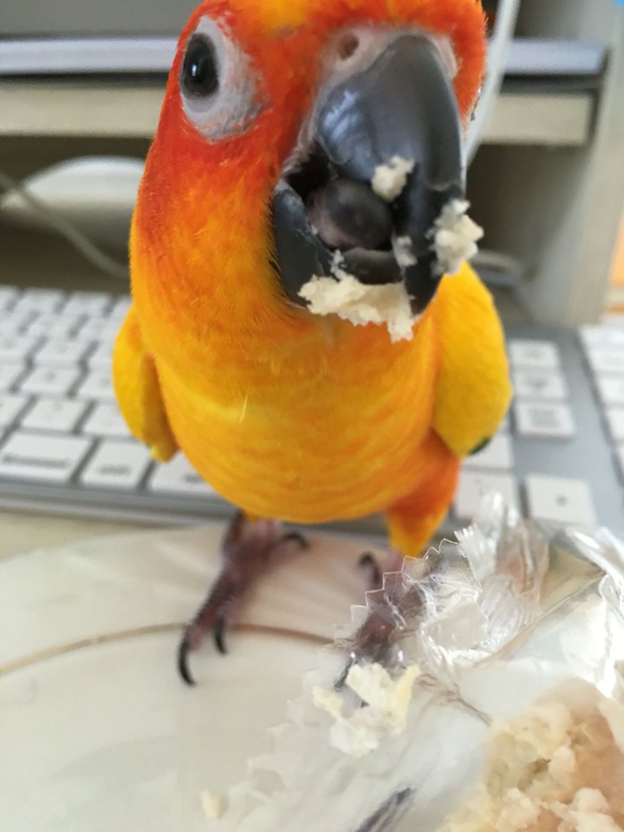 humbracker's tweet image. wout ?.  bred  On  mie  beeke?