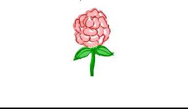 𝓈𝓃𝑒𝒽𝒶 🌺 | ♡ tweet media