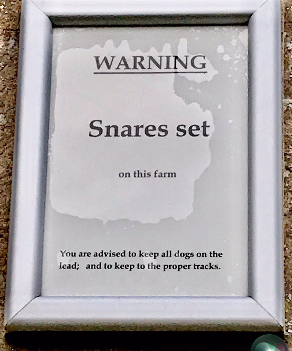 @onekindtweet Disappointing to still see signs like this in our part of Fife @onekindtweet. Hopefully the dog owners can read but the other non-target species certainly can’t. Time for a complete ban on snares now across the U.K. #BanSnares