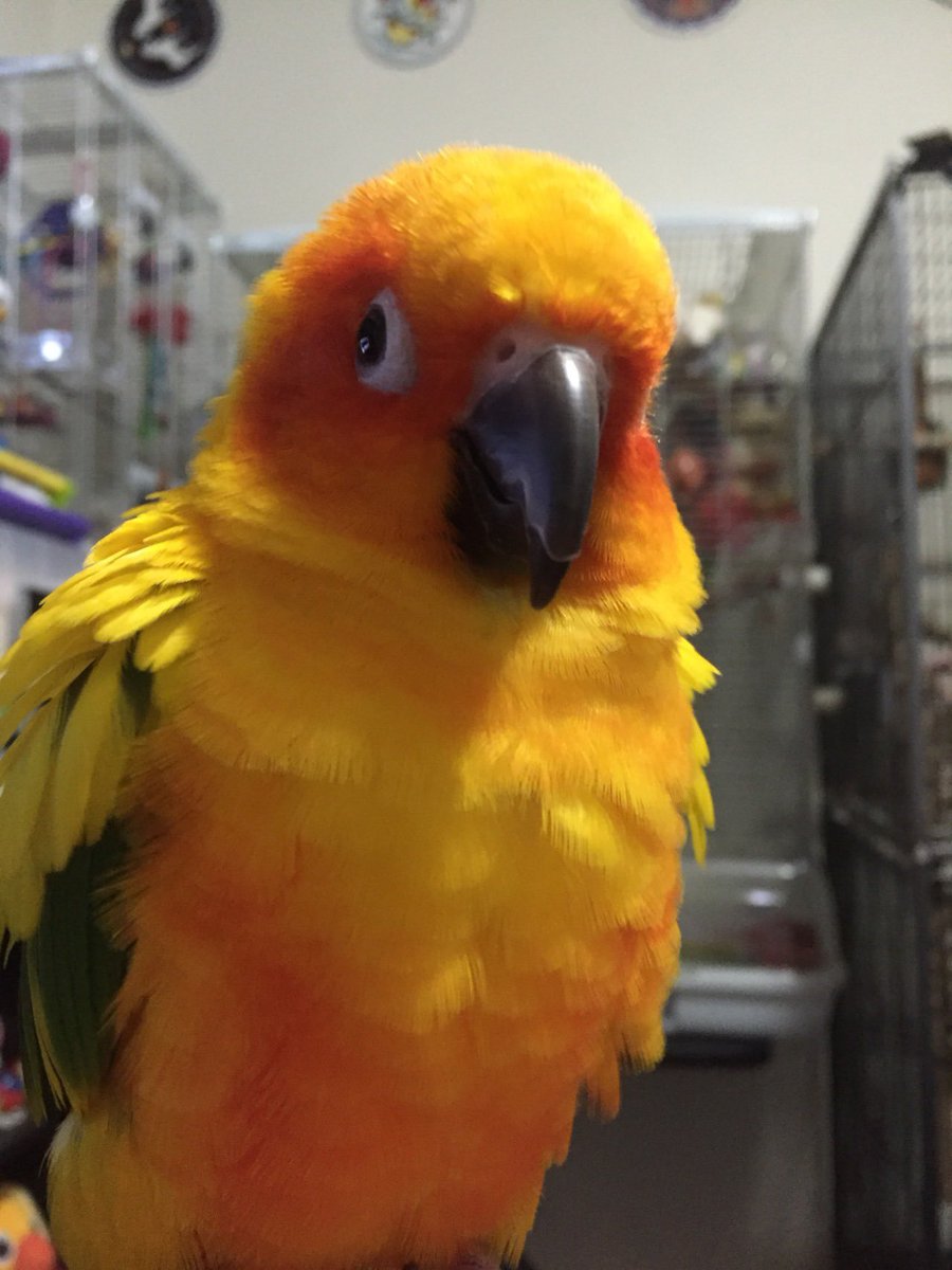 humbracker's tweet image. ime  . floufign