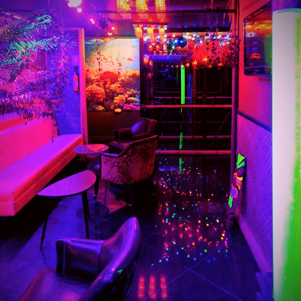 Got a party of 5 or more? Be sure to make a reservation at forbiddencovesd.com for our Blacklight Lounge to accommodate your group comfortably.

We look forward to greeting you on the far side of the Infinity Mirror Bridge!
