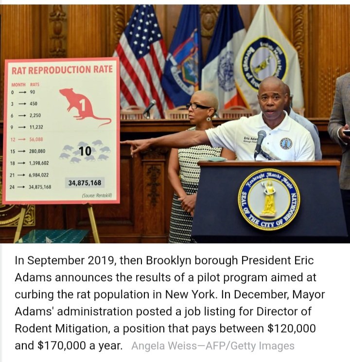 syawal's tweet image. #ContraPest? 🐀