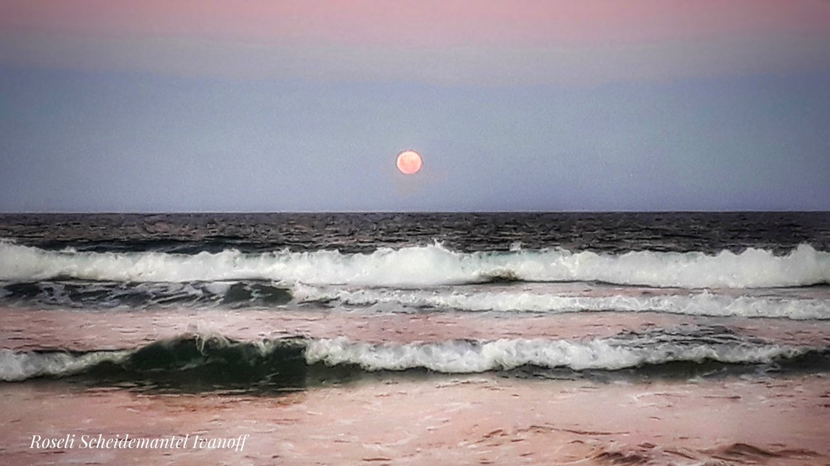 Moonrise in shades of pink!  Happy Easter everyone! 🐰
#StormHour #ThePhotoHour 
#photography #NaturePhotography 
#Pink #moon #beach
