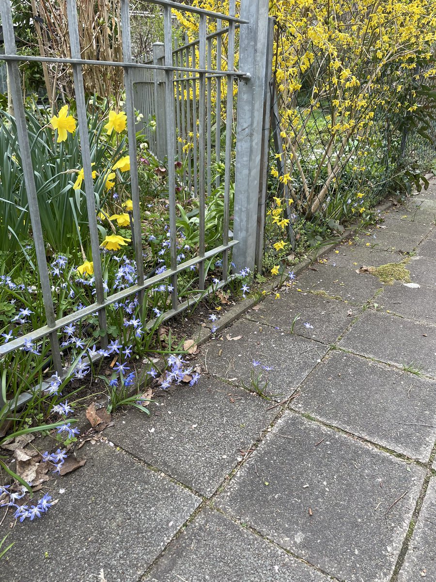 iamnilpferd's tweet photo. #blackboxgardening https://t.co/cT9GyWGvjJ