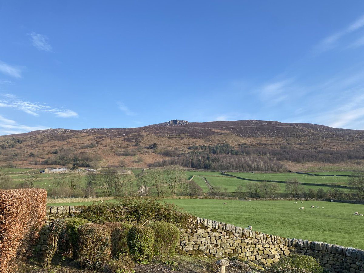 allaboutthecows's tweet photo. Home 🥰 #yorkshire #dalehead https://t.co/k4bcq4HaH2