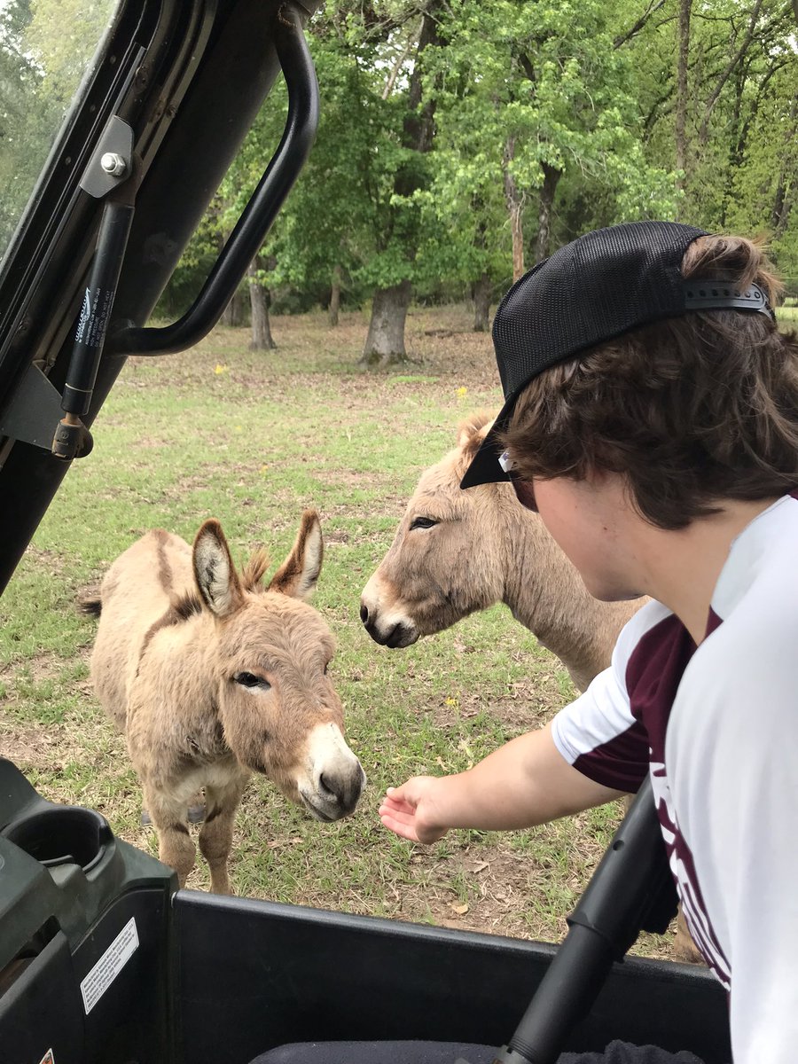 Cody Fagan on Twitter: