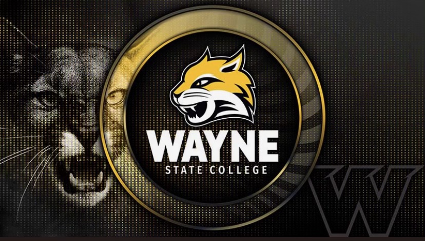 tytan_tryon's tweet image. Thank you for your time and great conversation @LMasters8 and @Coach_Prosser ! I’m grateful for the offer to play football for the Wildcats @WayneStFootball !