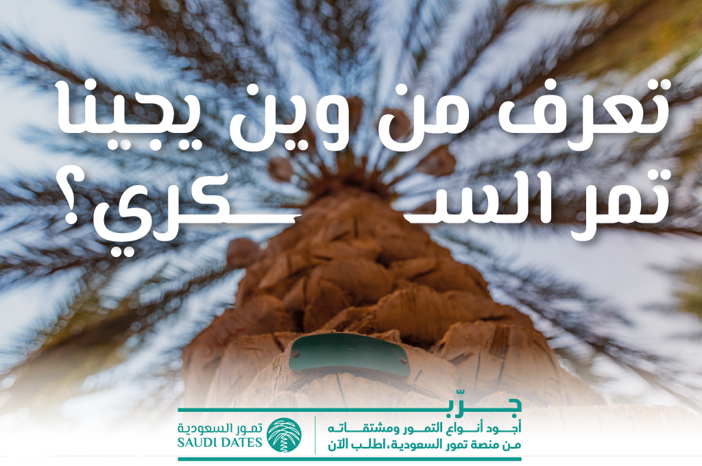 شاركنا رايك تعرف من وين يجينا تمر السكري؟

جـــرب #تمور_السعودية