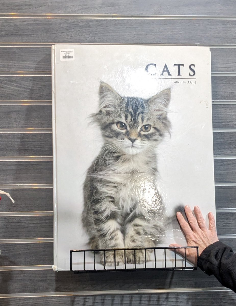 catwheezie on Twitter "OF COURSE I HAD TO BUY THE GIANT GOODWILL CAT BOOK"