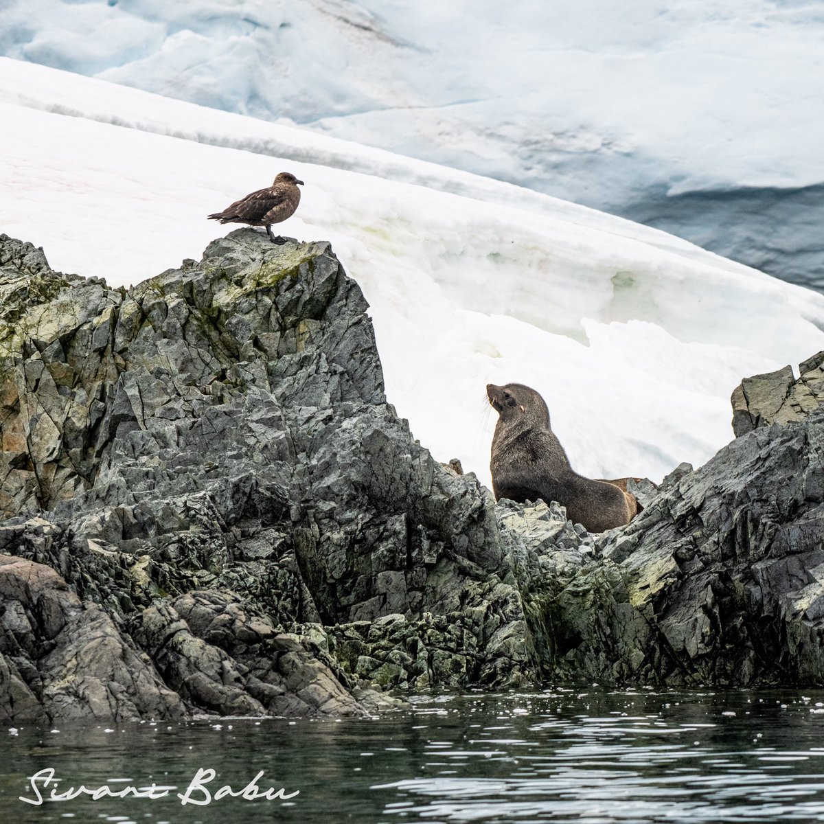 Hidden Compass tweet media