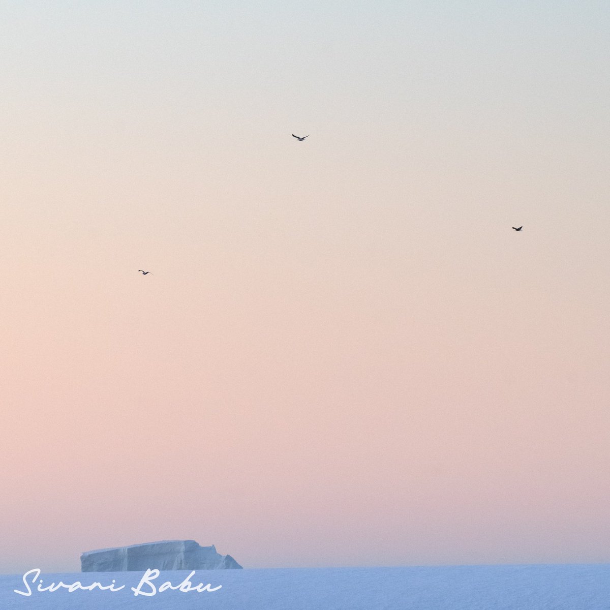 Hidden Compass tweet media