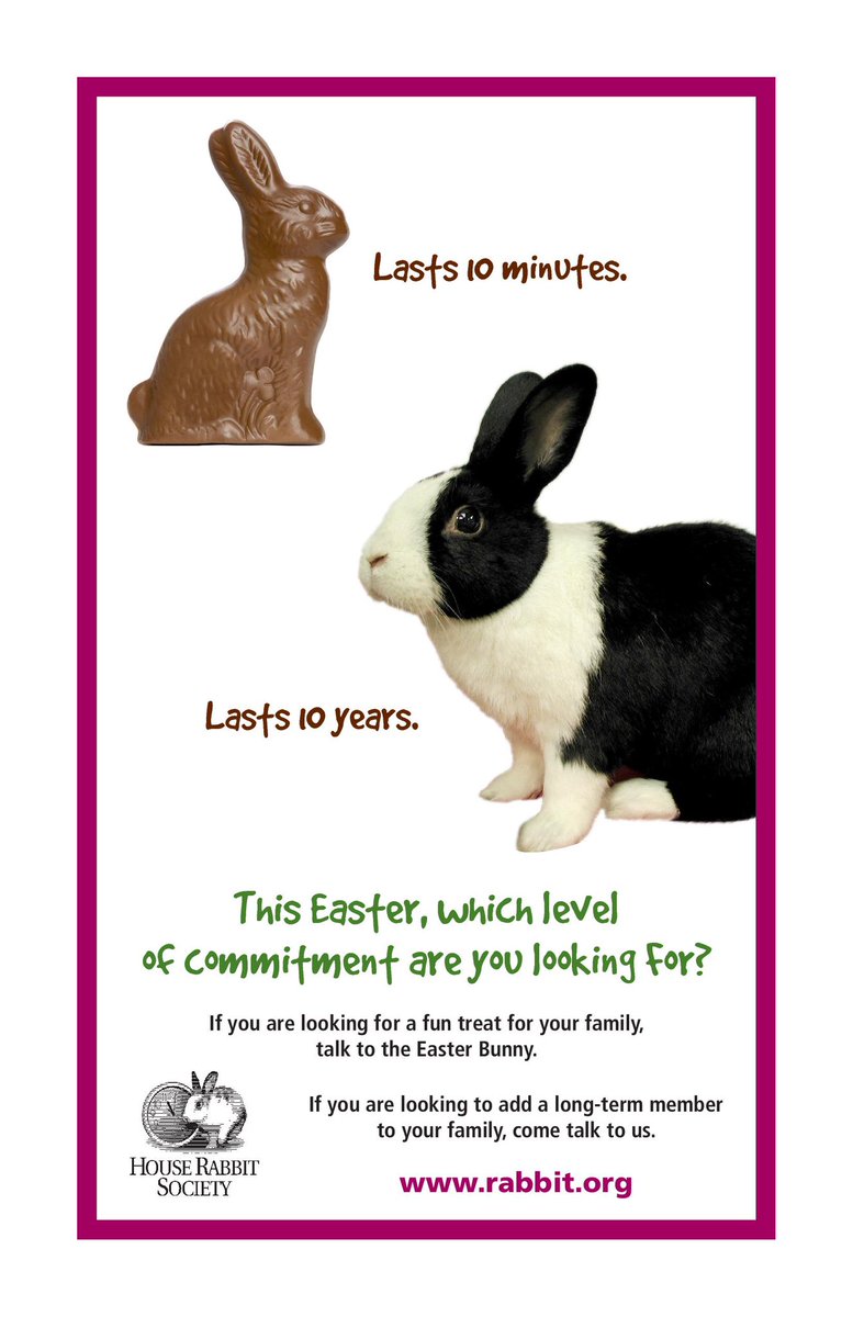 HouseRabbit's tweet photo. Each year, thousands of baby rabbits, chicks, and ducks are bought as Easter gifts, only to be abandoned outside or left at shelters soon after. Many don’t live to see their first birthday. 💔🐥🐇

Rabbits require a 10-year commitment! Learn more: https://t.co/QUoVorMNCF https://t.co/g0Zc3wAiTA