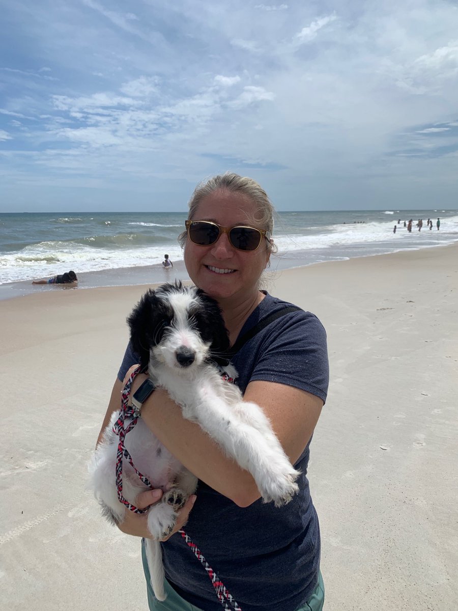 Rocky had his first trip to the beach! He loved it 😊 #FLliving #dogsoftwitter #beachlife #beachbabe