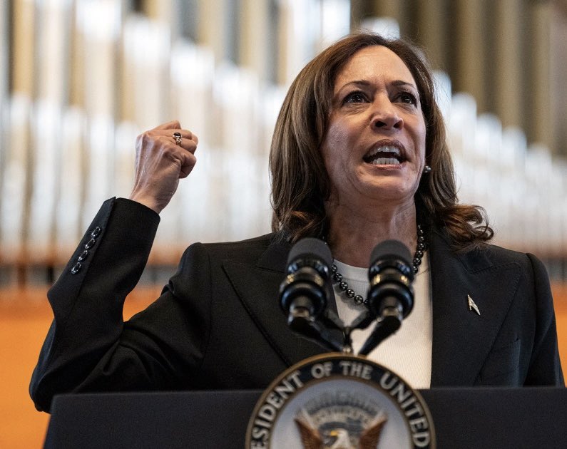 CalltoActivism's tweet image. The media IS NOT making a big enough deal about Vice President Kamala Harris’ FIERY speech in Tennessee!

It was likely the greatest speech of her career. 

Raising her voice at times, Vice President Harris shook her fist in the air. 

“We will not be defeated, we will not be…