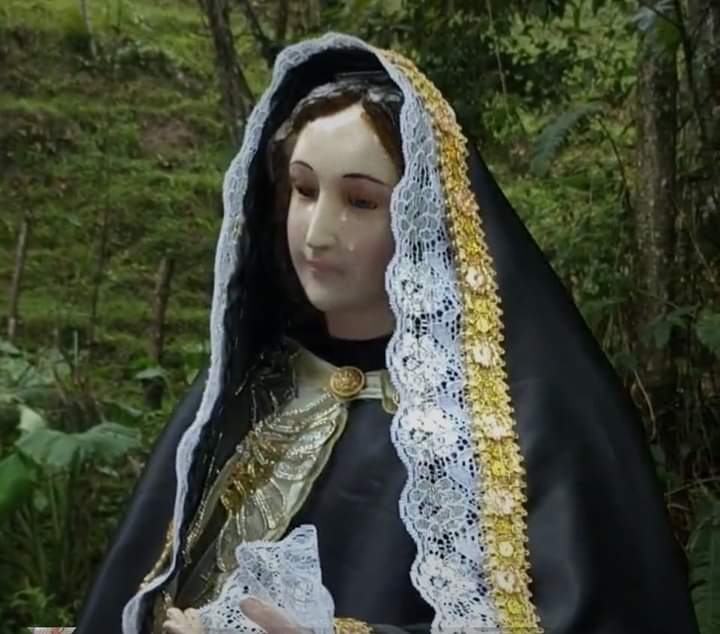jjenlaradio121's tweet photo. #LoUltimo #Rioblanco
¿MILAGRO? LA VIRGEN DE LOS DOLORES LLORÓ EN MEDIO DE LA PROCESIÓN EN RIOBLANCO TOLIMA.
A través de imágenes e incluso varias transmisiones en vivo, en la mañana de hoy sábado en medio de una procesión se vio a la virgen llorar.
Fuente:#Noticias #PLEC https://t.co/LEiWdteLYL
