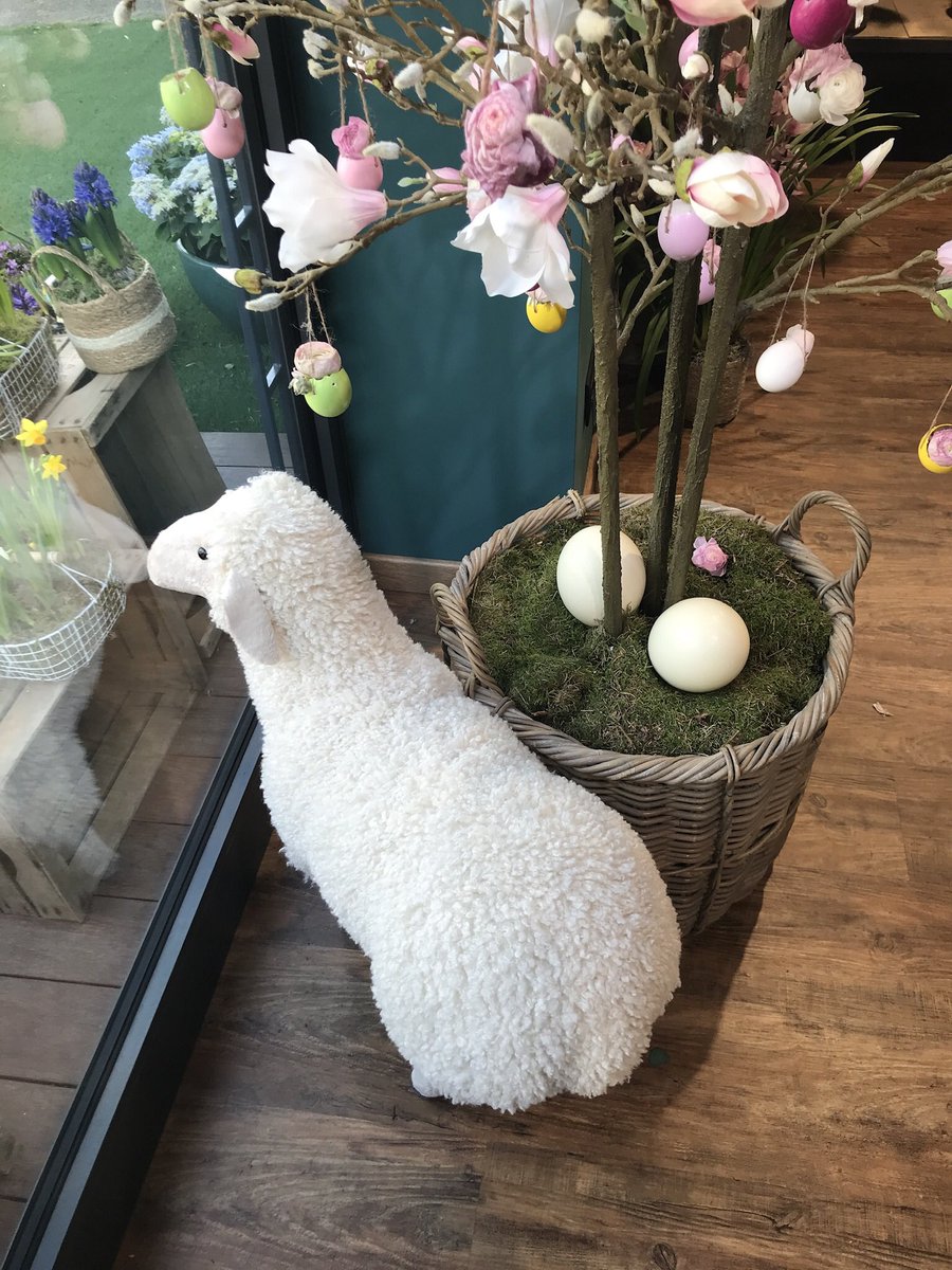#BuonaPasqua 🐣 🌺 Un piccolo negozio a pochi passi dal centro di #Sassuolo persone gentili che con grande maestria creano piccole opere d’arte con i fiori.