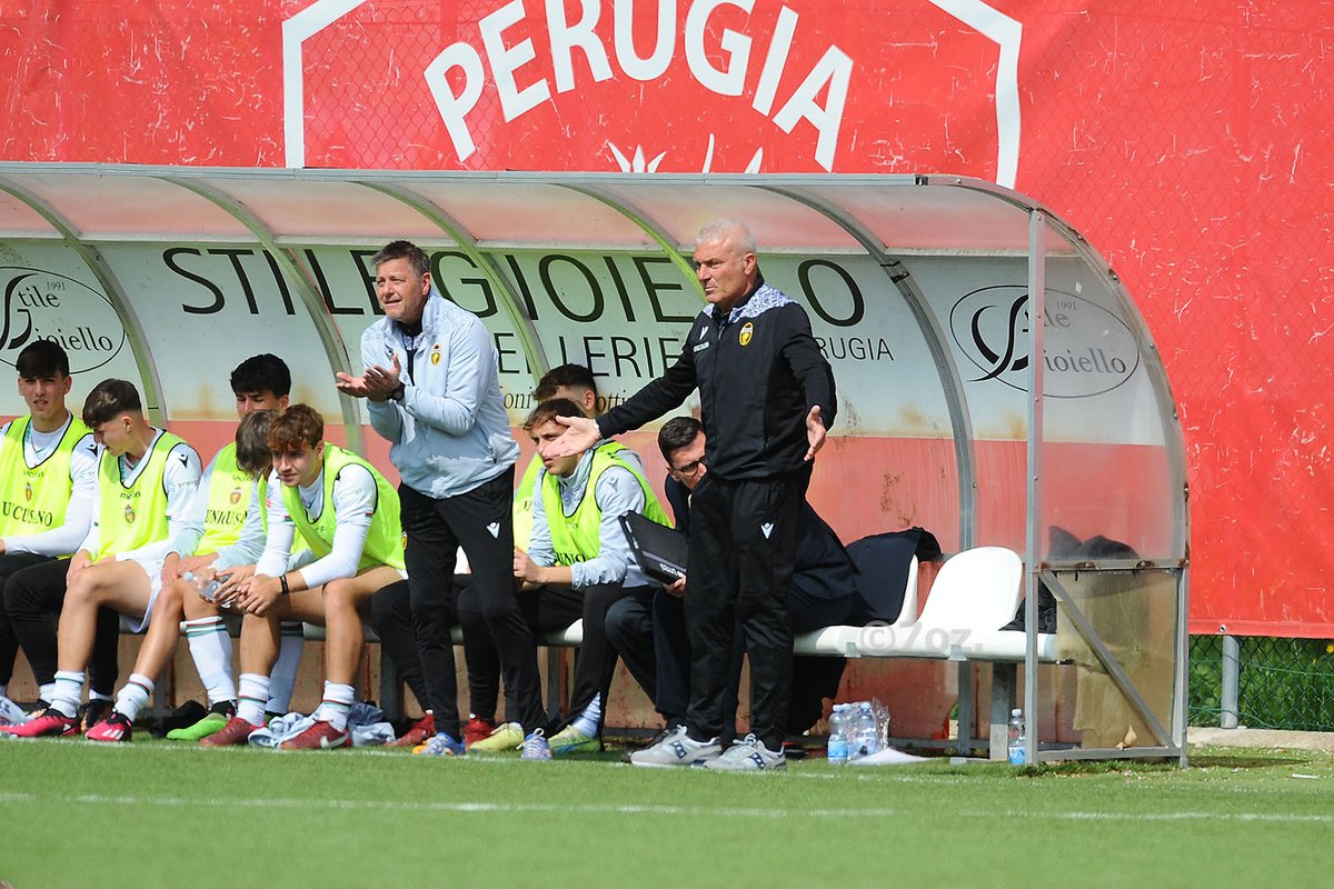ACPerugiaCalcio's tweet photo. #Primavera2, #PerugiaTernana 0-1
La rete di #Ferrara al 29' st condanna i biancorossi di #Formisano
HIGHLIGHTS 👉 https://t.co/zbkuYNuCKw
TABELLINO E CRONACA 👉 https://t.co/A6qLLnGUkn
#forzagrifo #PERTER @Lega_B https://t.co/o6A9QaNR94