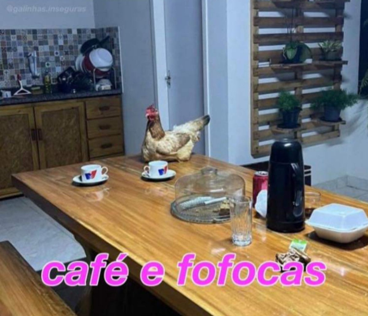 galera_humanas's tweet photo. [BAPHÃO NA GALERA DE HUMANAS] 

Então pessoal, vocês sabem de toda a saga que passamos quando hackearam o chip e com isso foi o e-mail e perfil  do Instagram da Gifs. https://t.co/nqyzw38owC