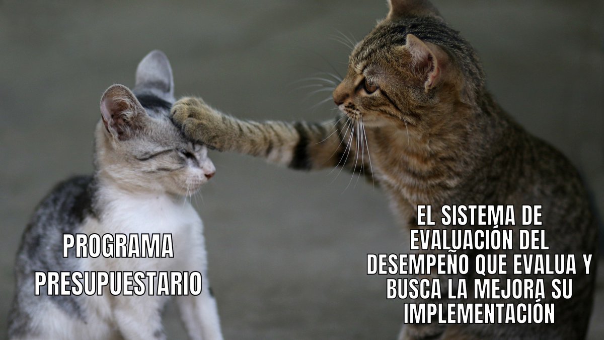 OmarRiveraHdez's tweet image. Reto#3 ¡Mira lo que encontré! del #RallyMX 

En esta etapa les mostraremos nuestros resultados que obtuvimos en el #mercadatos  a través de una forma que consideramos es muy divertida.

#creativitybee #UG 

@TPresupuestaria  @ciepmx