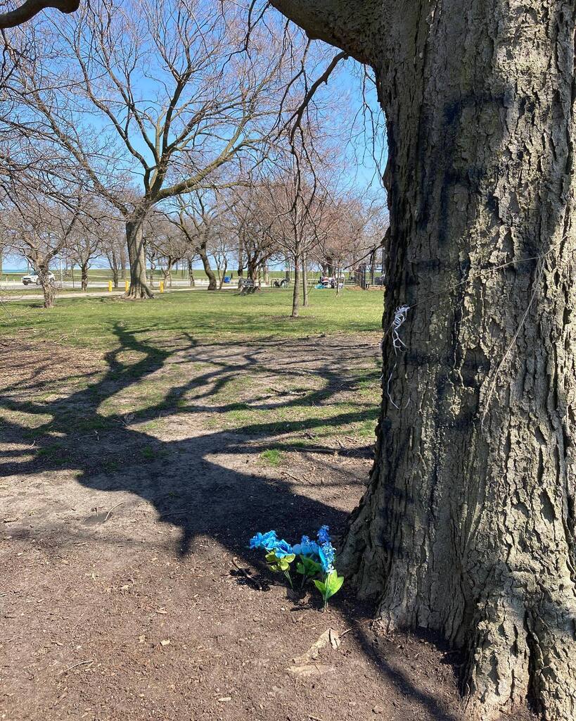 MelKeiser's tweet photo. Fake flowers, real flowers. Butts, trash.

Views along the procession route.

April 22 "A Practicum for Processing" with Mel Keiser &amp; Corey Smith

Presented@by Northwestern University’s Death Studies Research Group

On the morning of April 22, we will ta… https://t.co/4d4bhzoeMG https://t.co/Nqve93MLvu