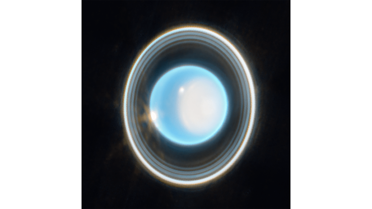 CaraSantaMaria's tweet photo. The rings of Uranus shine bright in stunning new JWST image. 🤩
#Uranus #JSWT #SpaceImages #UranusRings #Astrophotography
https://t.co/KhIEsq63Yh @universetoday https://t.co/jVEEcMzrRp