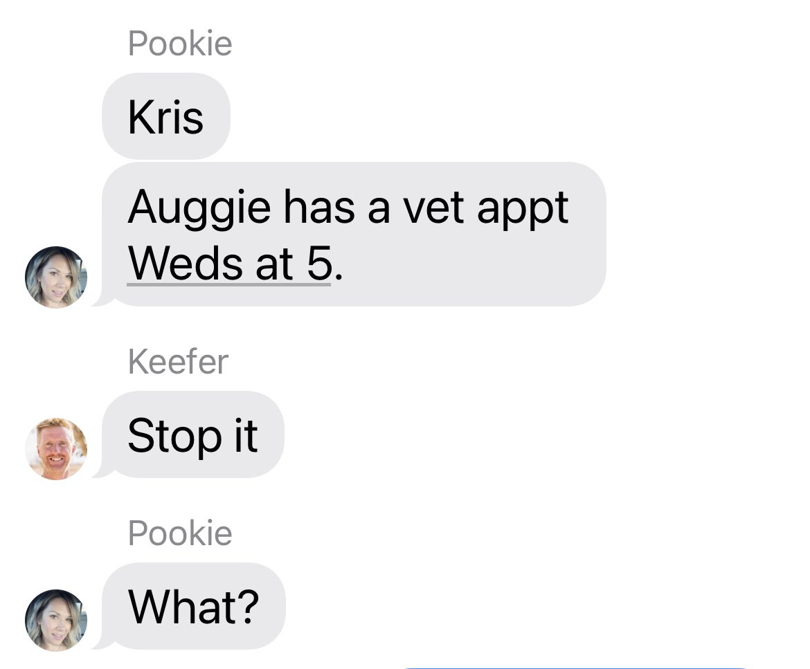 Steve Matthes tweet media