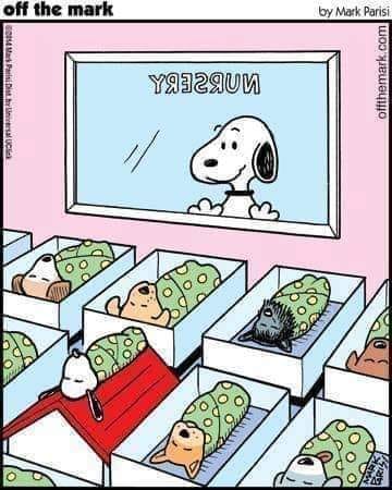 Art by Off the Mark instagram.com/mark_parisi_ot…