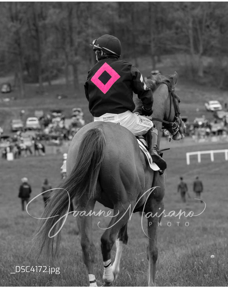 AshwellStable's tweet photo. HOFFMAN (IRE) looking awfully happy with himself after a great run at the Old Dominion Hunt Races. Winning the Maiden Hurdle, for owner Michael A Smith, under jockey @MikeyHamill1
Run Black & Pink βοΈπ #MichaelASmith #Hoffman
@LeslieYoung1 @HamishMacauley @tattscheltenham https://t.co/F1swnU77IQ