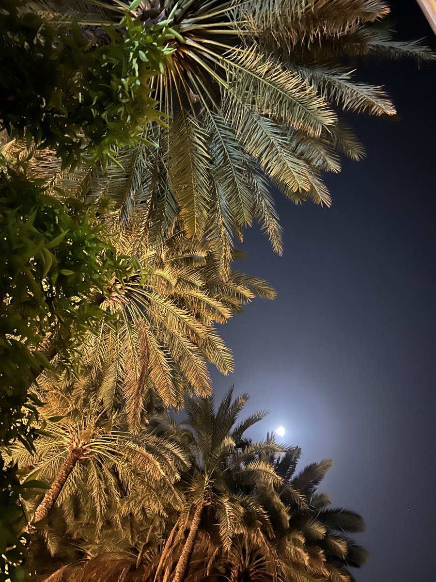 فهيد الحماد tweet media