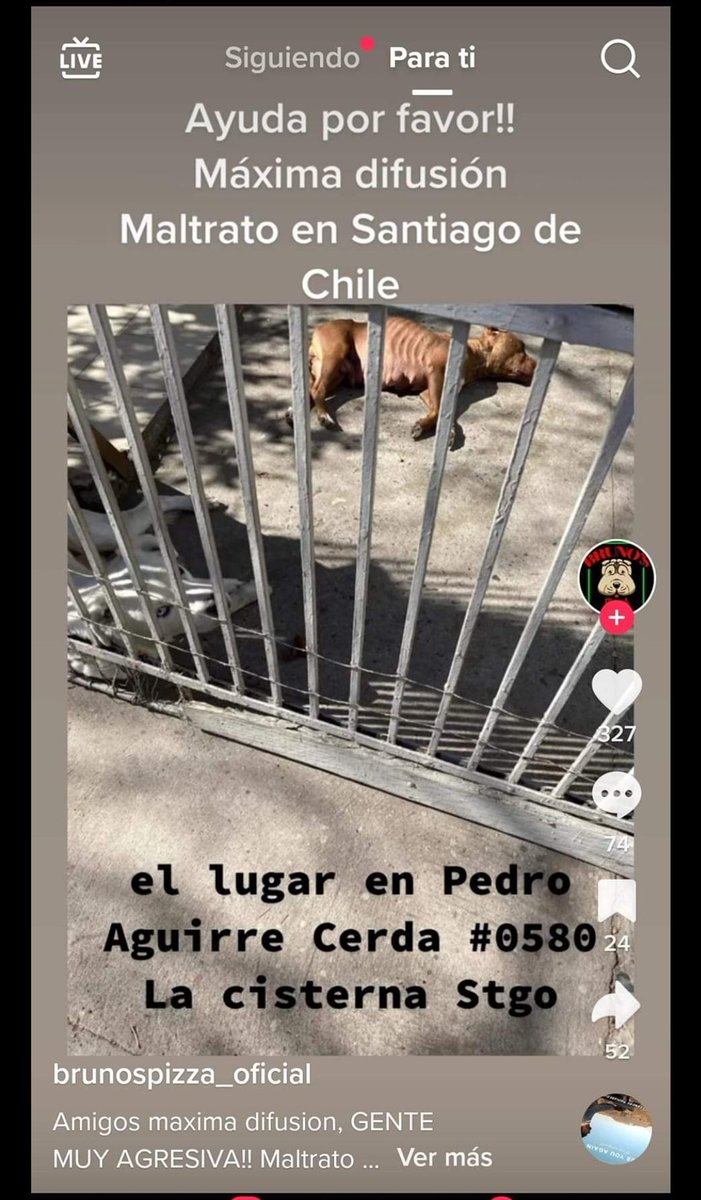 marcelafiguero7's tweet photo. Sólo comparto https://t.co/afWagiWko0