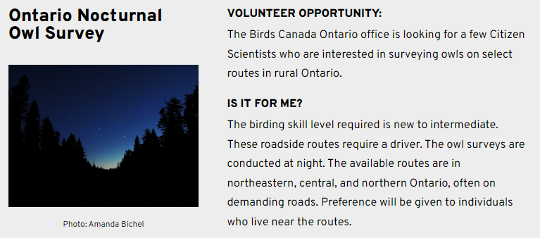 BirdsCanada_ON's tweet photo. Do you spend your April in the #Combemere, #BarrysBay, #Eganville, or #Killahoe area? Are you interested in supporting the conservation of #owls through citizen science? I have a great owl route that needs a surveyor. Learn more at https://t.co/4o35QOsDLT https://t.co/wbKBBhac1s