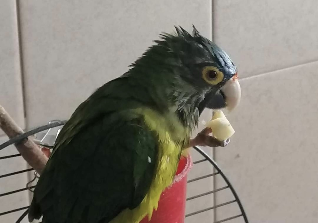 Guarromantico_'s tweet photo. Cuando vas a la alberca y tu mamá te habla para comer un sandwich. https://t.co/5ok9EqP5EK