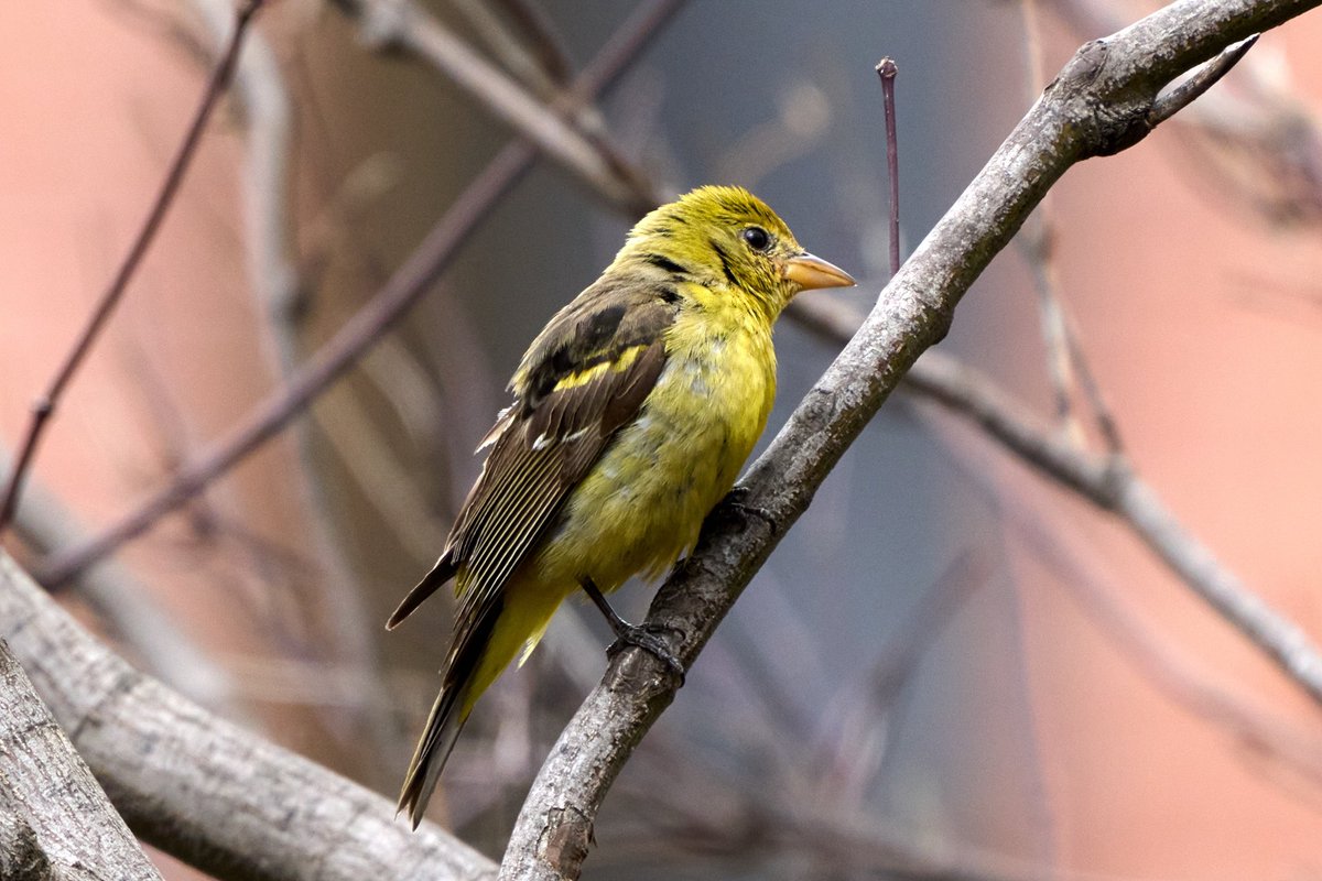 Brennan Moore tweet media