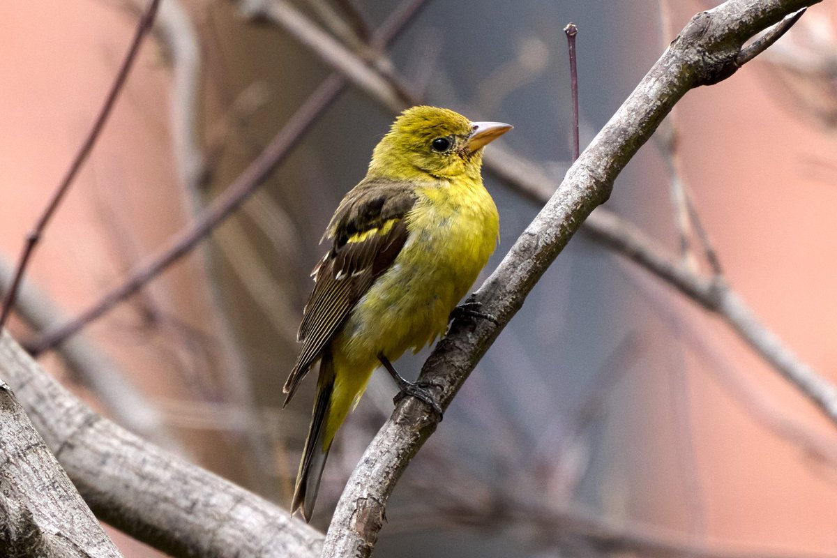 Brennan Moore tweet media