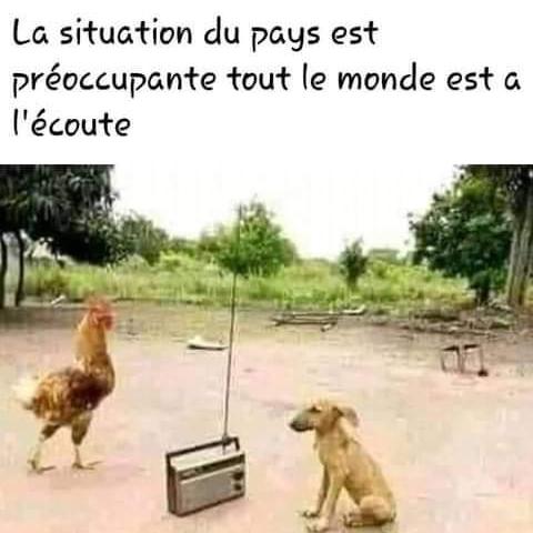 kasolanick's tweet photo. https://t.co/xPjJb0bDmy