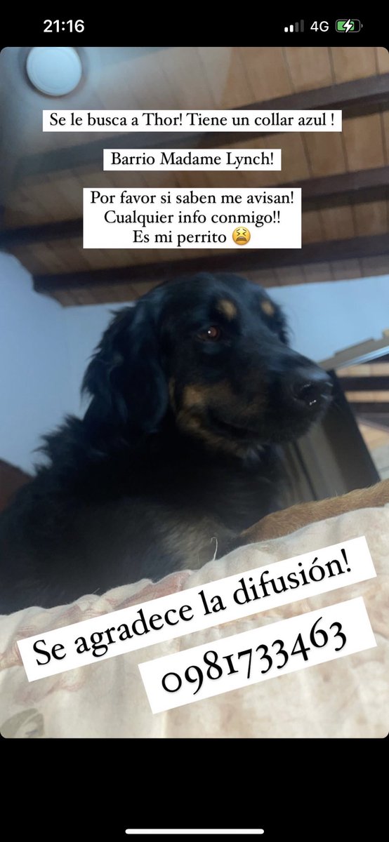 Se agradece difusión!! 🙏🏻🙏🏻